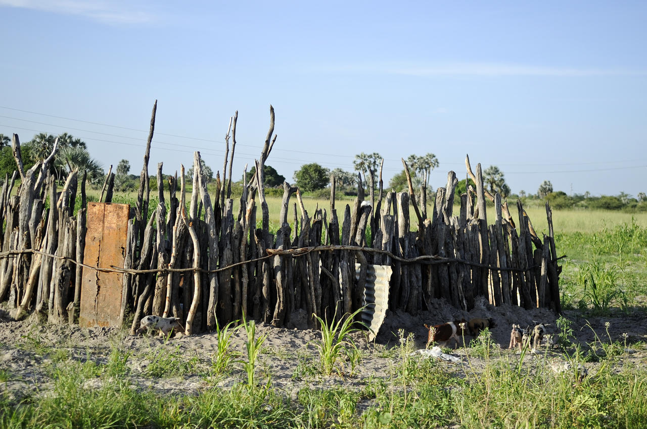 Ongula Village Homestead Lodge Omupumba 外观 照片